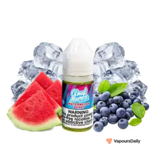 خرید سالت کلود نوردز هندوانه بلوبری یخ CLOUD NURDZ ICED WATERMELON BERRY