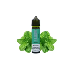 خرید جویس نستی نعناع (60 میل) NASTY LIQ SPEARMINT