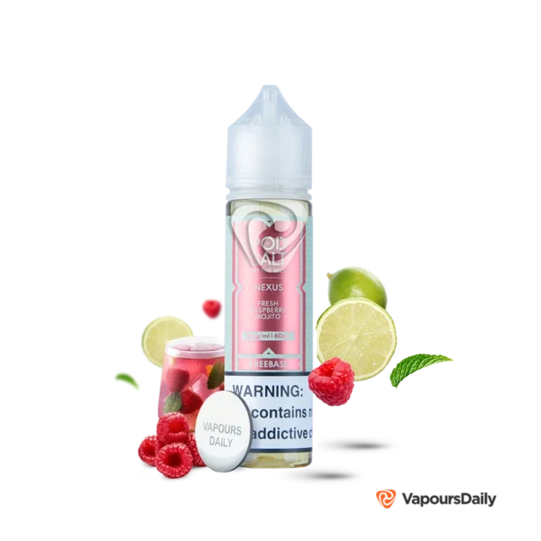 جویس پاد سالت موهیتو تمشک (60میل) Pod Salt Fresh Raspberry Mojito